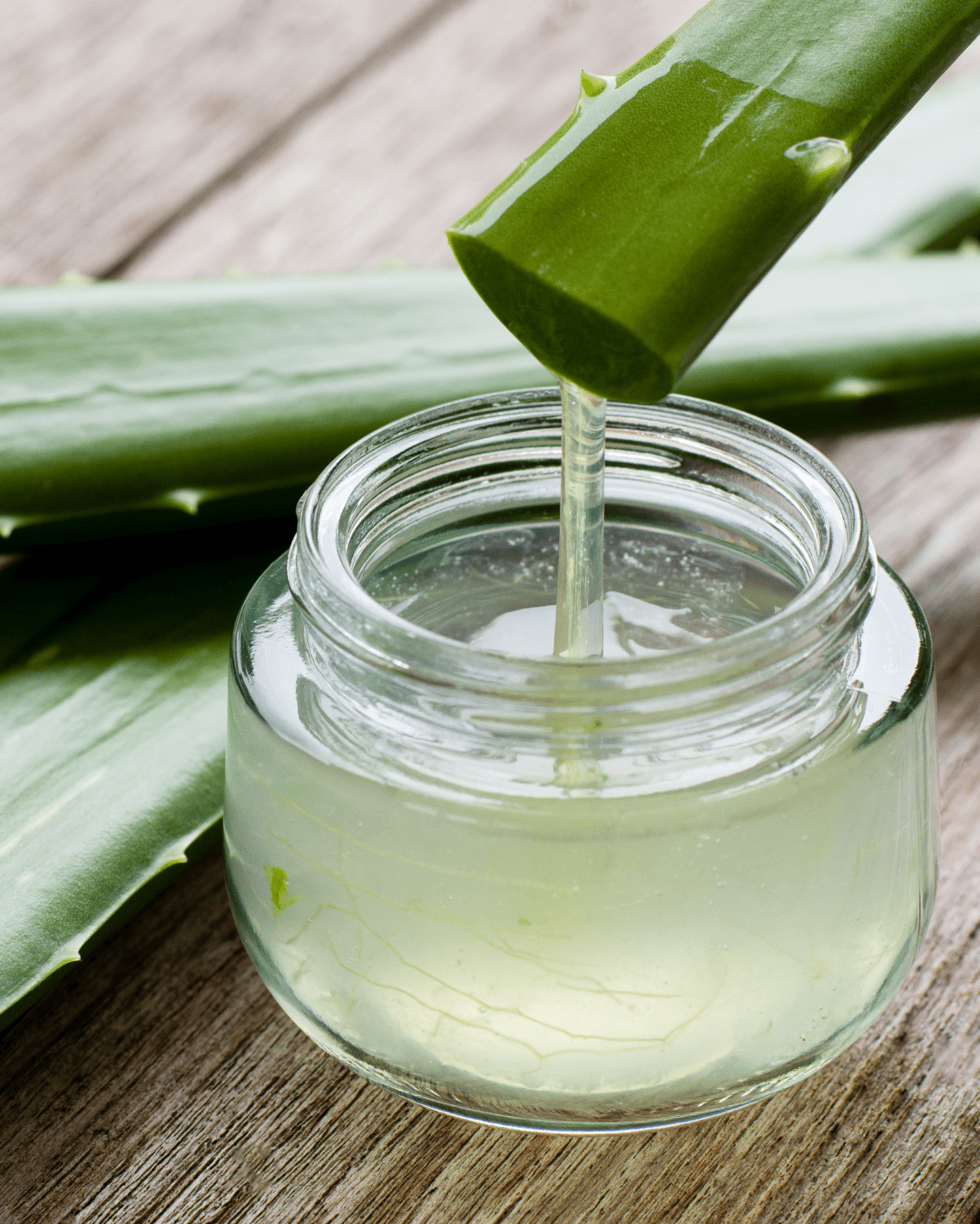 “Aloe vera extract in Red Flower shampoo to soothe and hydrate the scalp.