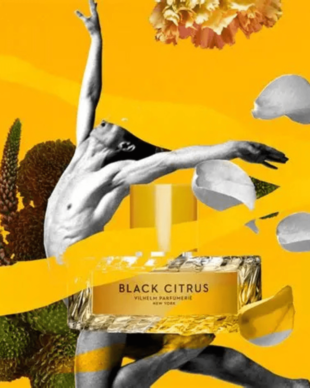 Vilhelm Parfumerie Black Citrus Eau de Parfum