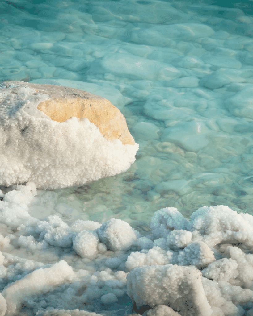 OSEA Salts of the Earth Body Scrub