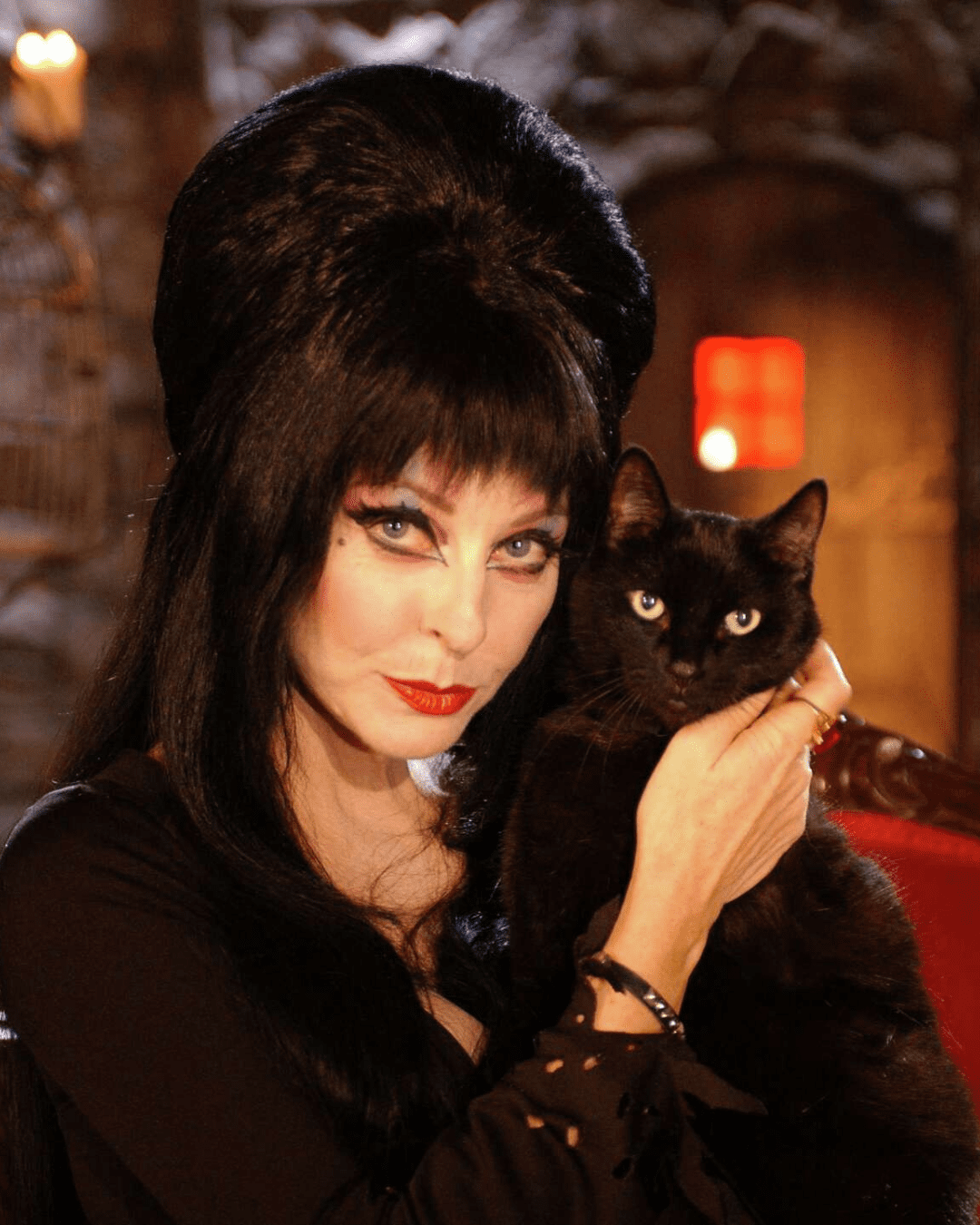 Elvira, Mistress of the Night posing with a black cat, part of the blood and glamour blog post.