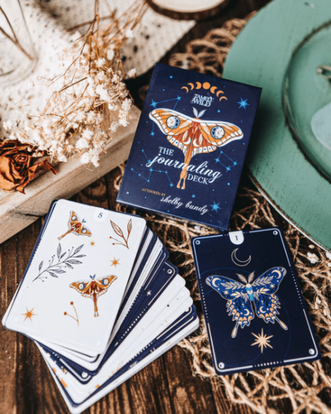 Tamed Wild Journaling Deck & Dice Set