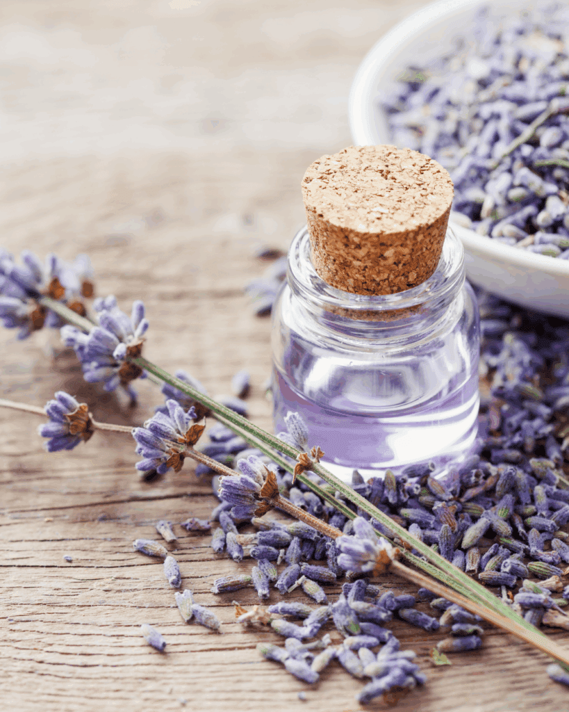 Lavender Oil in a glass bottle on a wooden surface next to a lavender flower. Part of the Winter Self-Care & Beauty Guide.