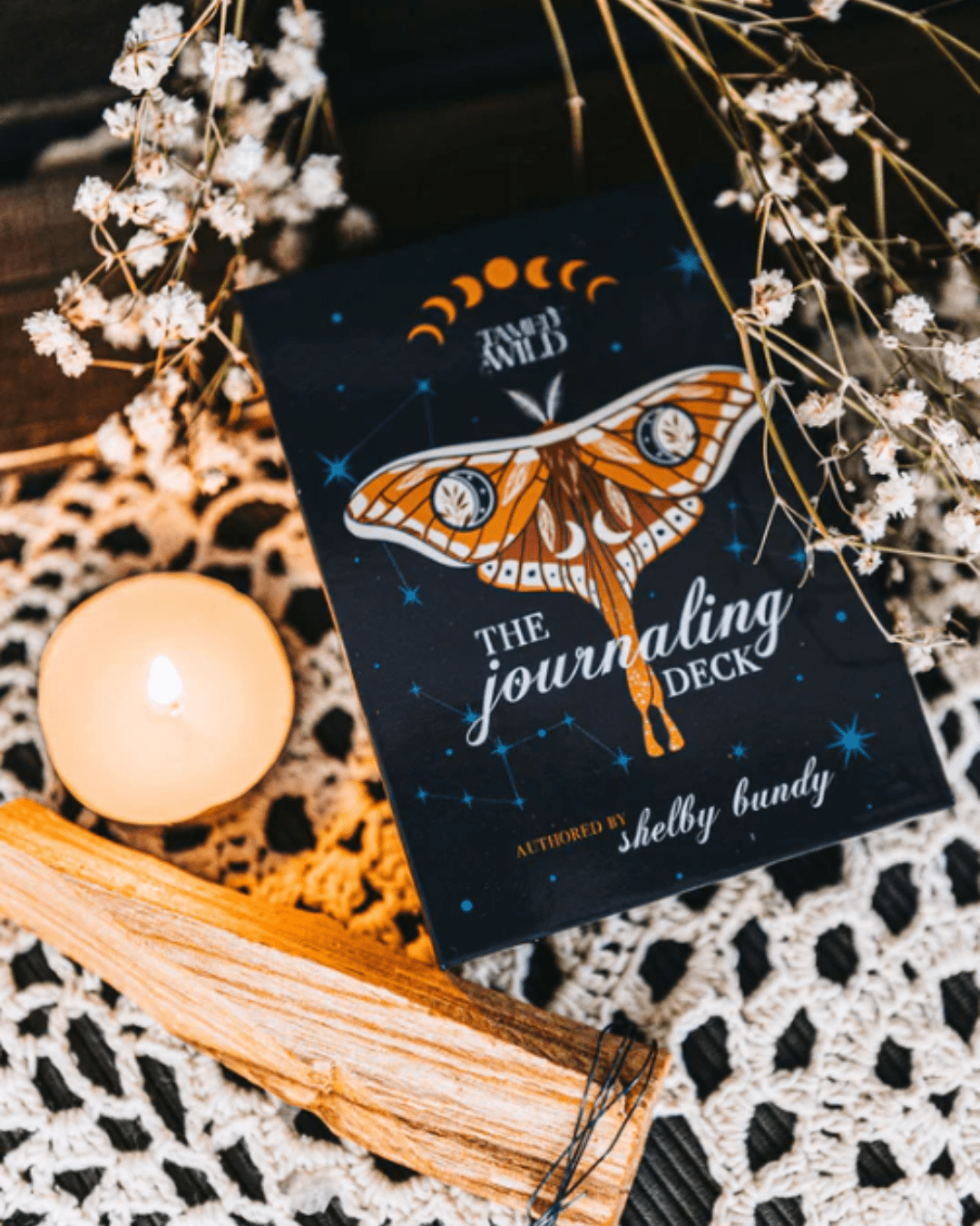 Tamed Wild Journaling Deck & Dice Set