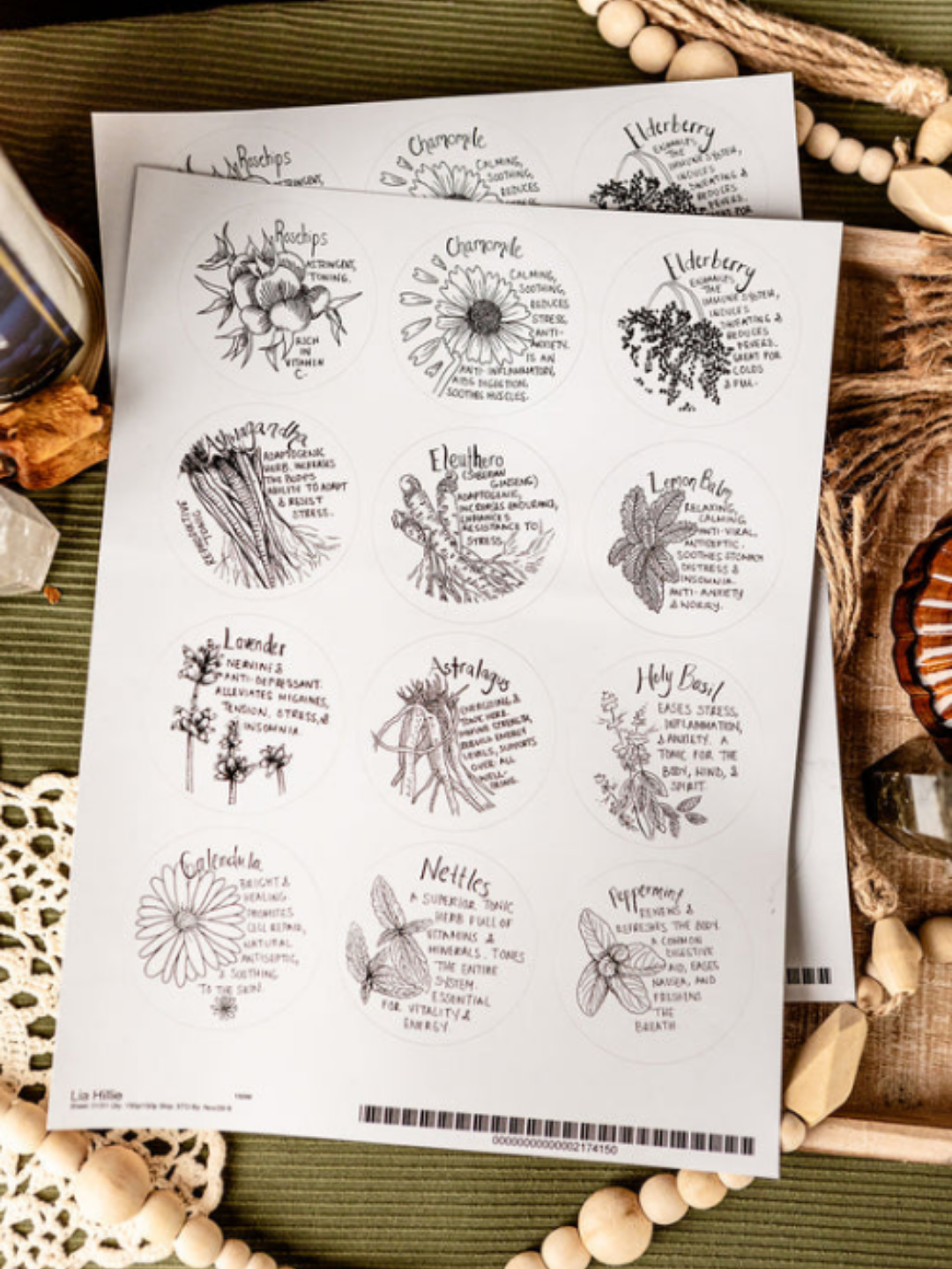 Apothecary jar stickers from Tamed Wild