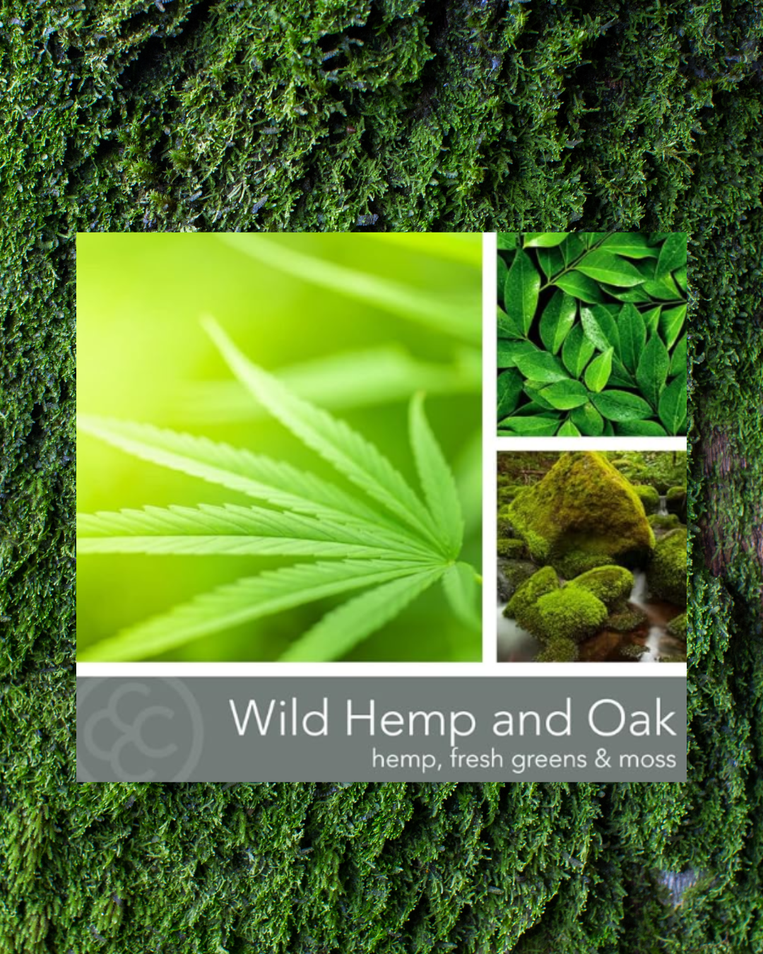 Wild Hemp & Oak Scented Jar Candle