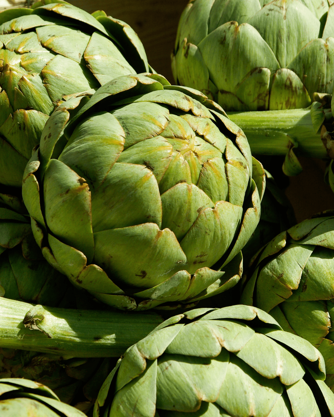 Artichokes. Part of the fall self-care & beauty guide.