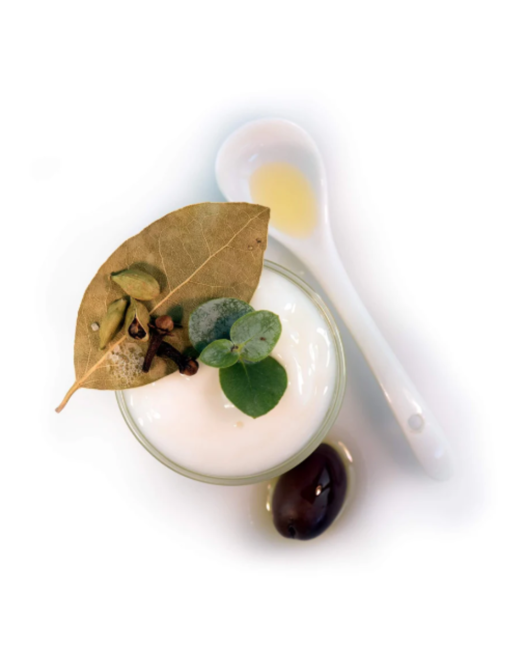 Plant-based ingredients like white peat and maitake mushroom featured in Red Flower conditioner.