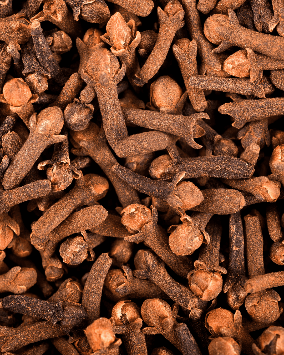 Clove in this fall self-care guide.