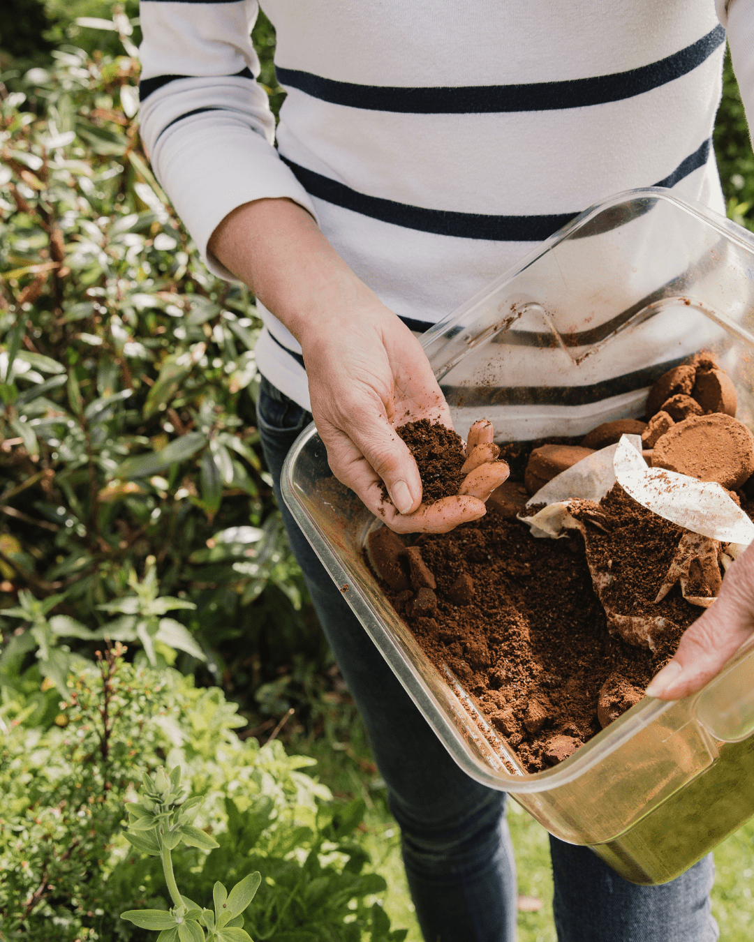 Gardening with Coffee Grounds