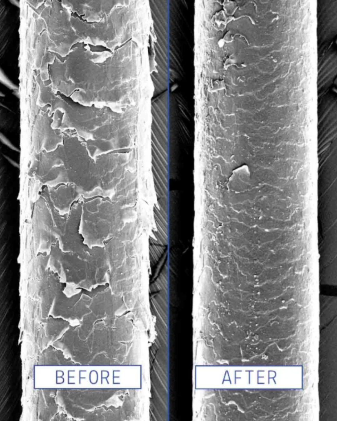 Microscope view of hair follicle before and after AAVRANI’s Hair & Scalp Recovery Oil, showing dry damaged hair follicle versus nourished healthy follicle.