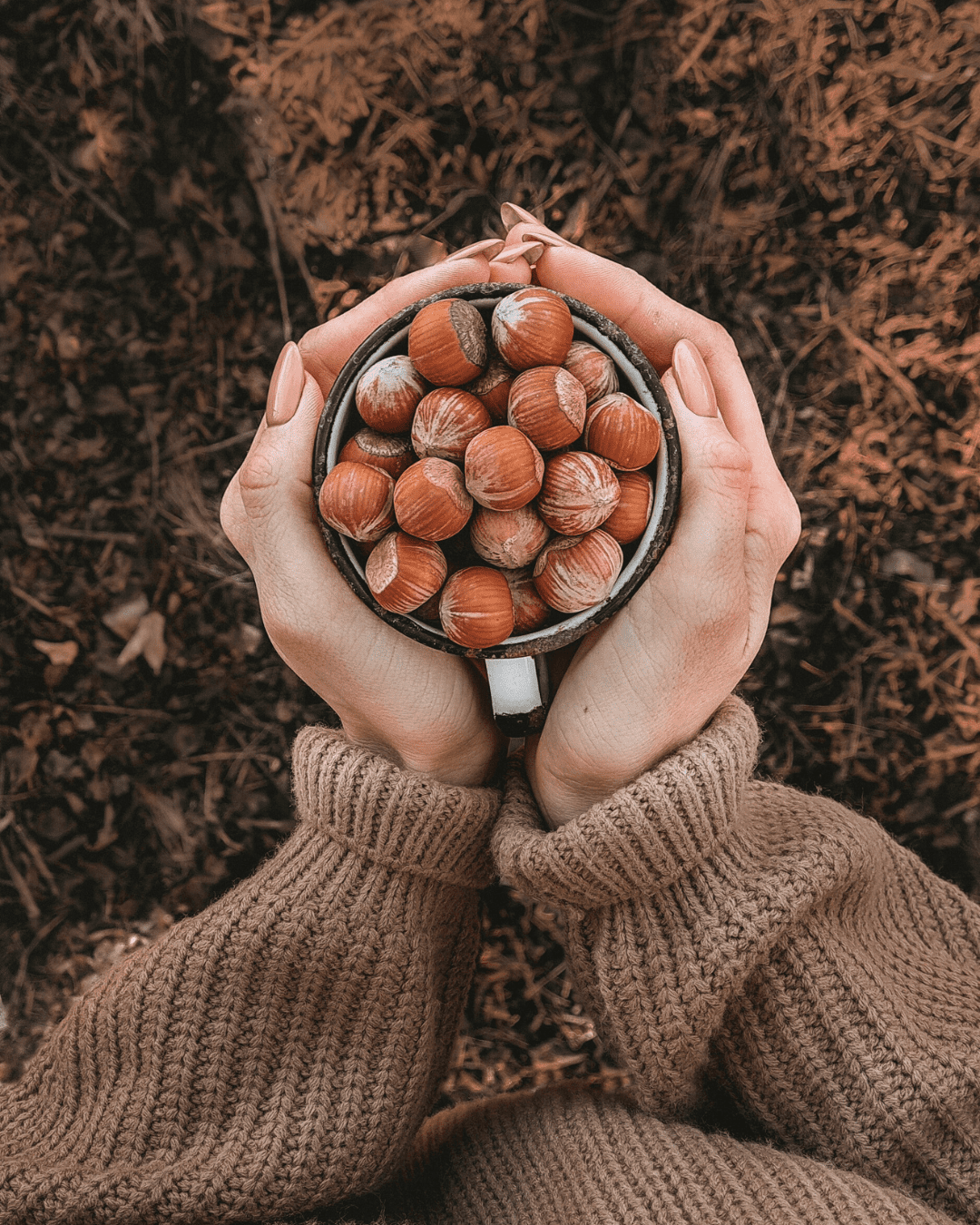 Woman holds Hazelnuts in her cupped hands over the ground wearing a brown sweater in this fall self-care guide.