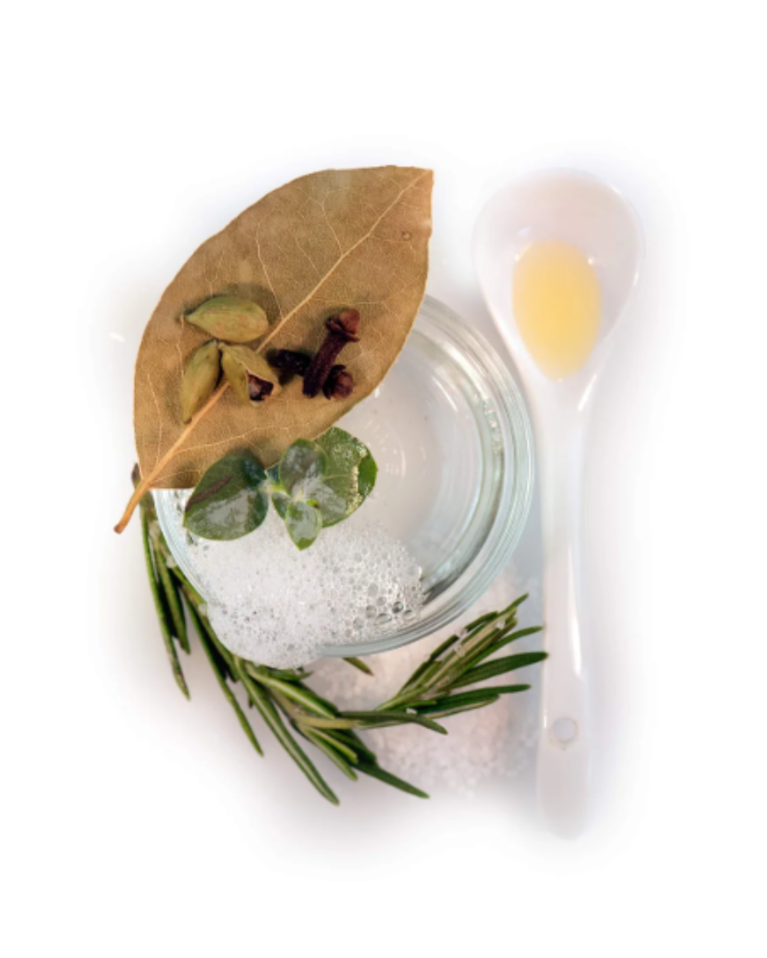 Plant-based ingredients like white peat and reishi mushroom featured in Red Flower shampoo