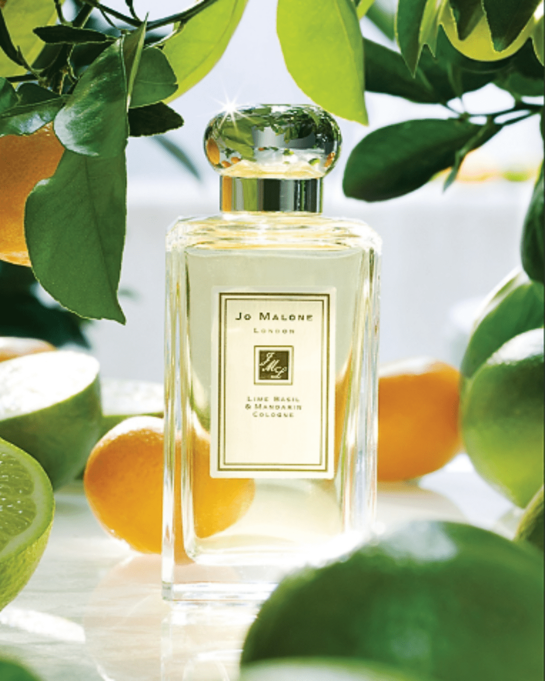 Jo Malone London Lime Basil and Mandarin Cologne surrounded by lemons and limes and their leaves in this fall self-care guide.