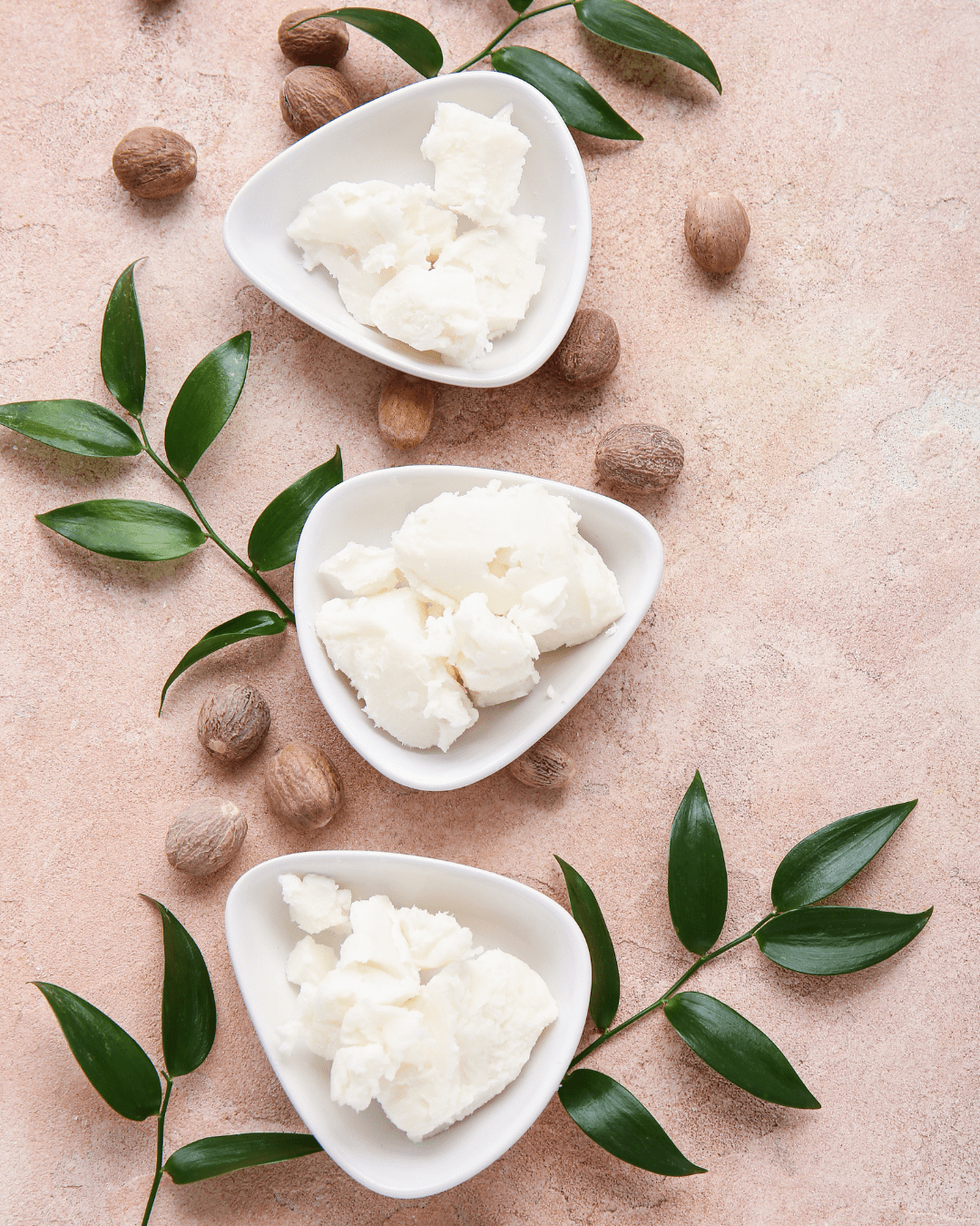 Shea butter displayed in small dishes with green leaves and whole raw Shea nuts.