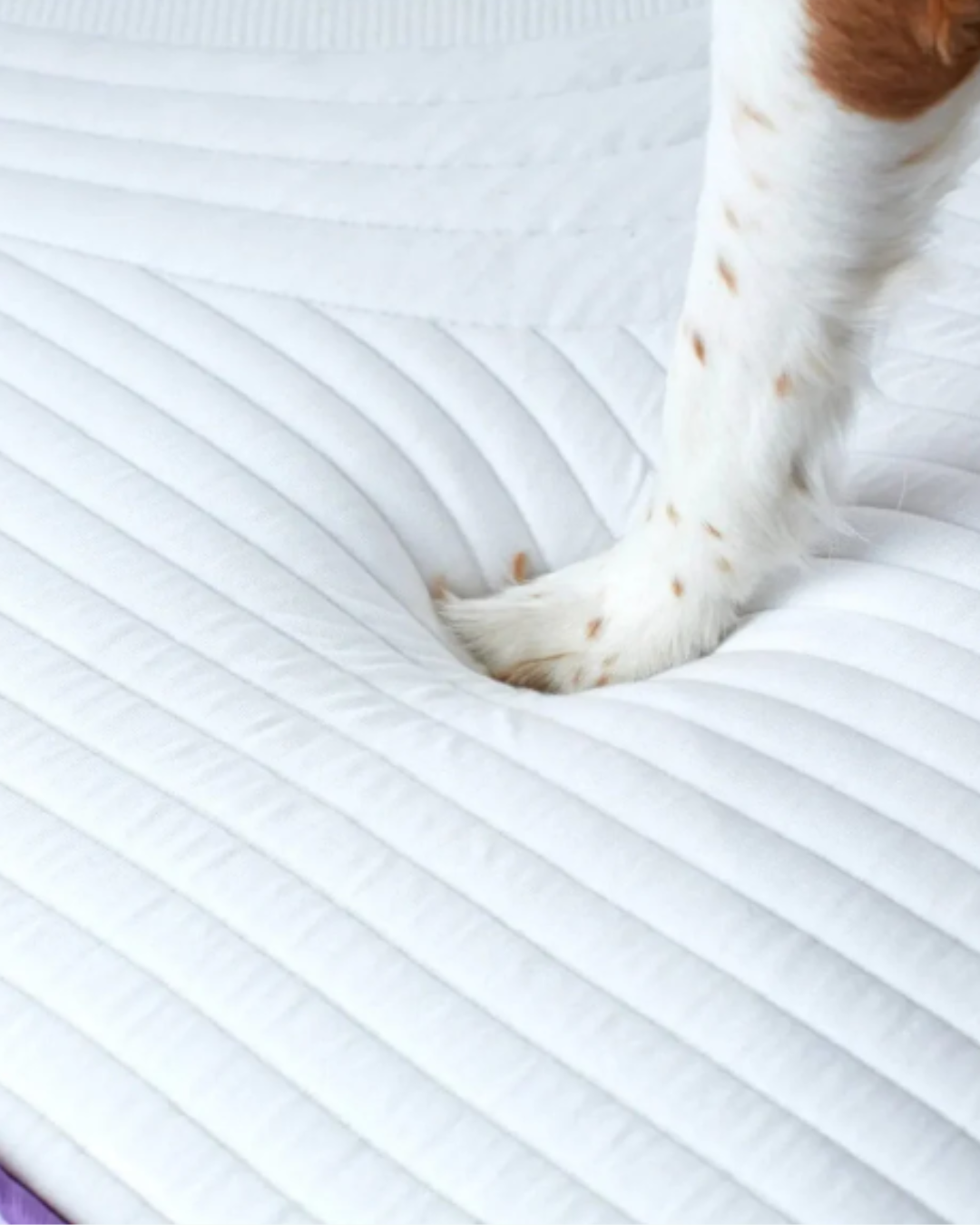 Natural Eucalyptus Mattress