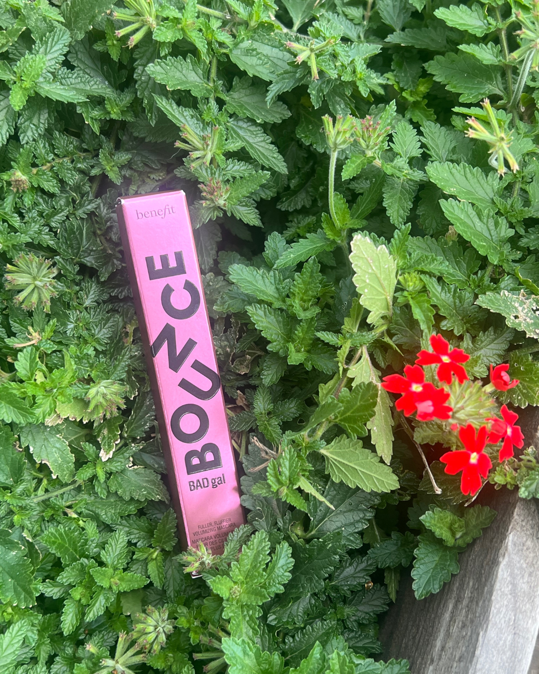 Benefit Cosmetics: Bounce Bad Gal Mascara
