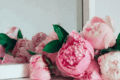 P.F. Candle Co: Sandlewood Rose Room & Linen Spray