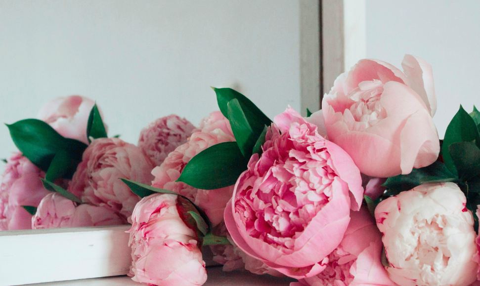 P.F. Candle Co: Sandlewood Rose Room & Linen Spray