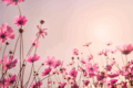 Wildbloom Skincare: Mineral Face Tint SPF 32