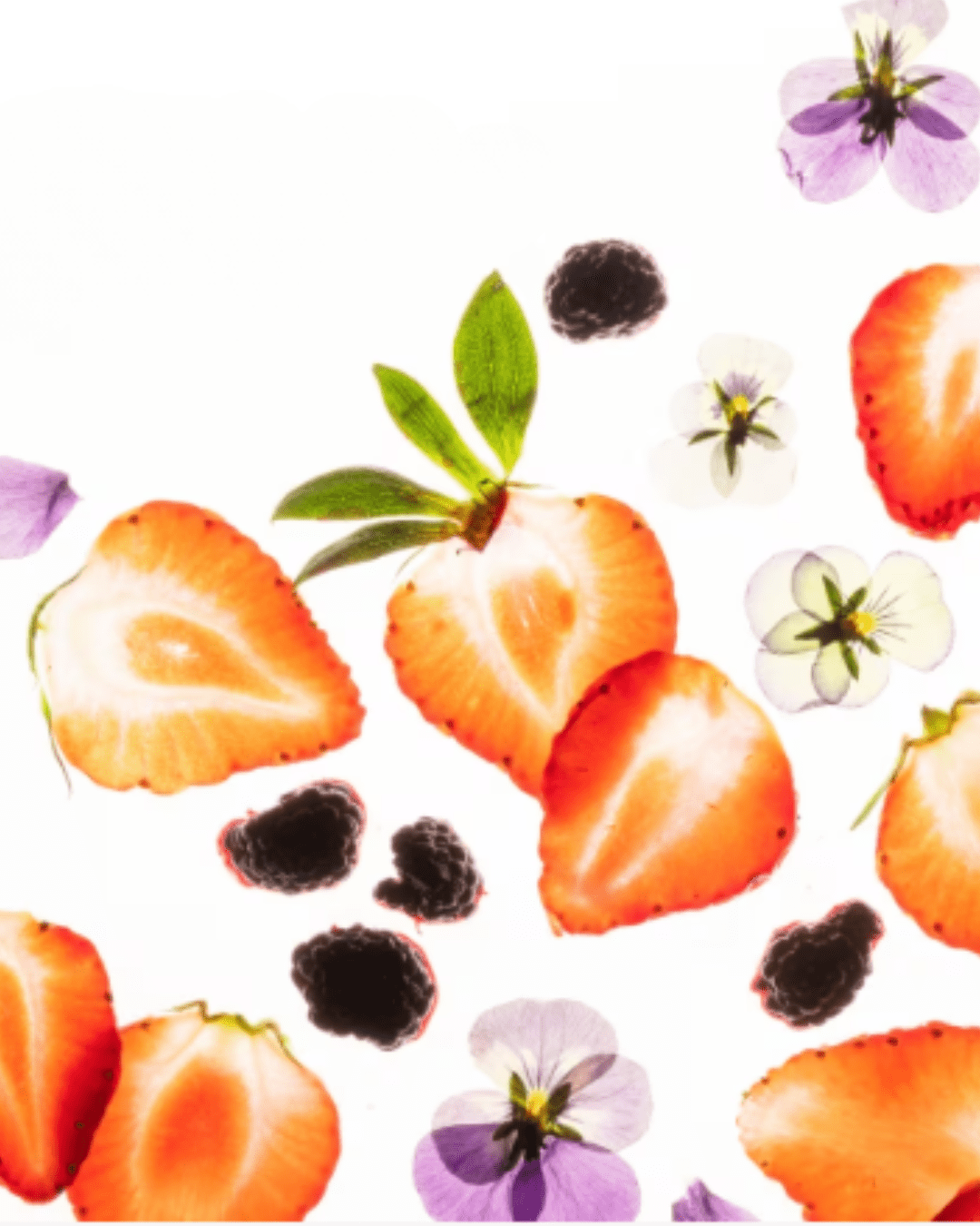 Flat-lay of Berry Bliss Power Mist Hydrating Hand Sanitizer ingredients on an off-white background, including black berry, strawberry, and violet petals in a soft pink color palette.