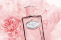 Prada Infusion de Rose