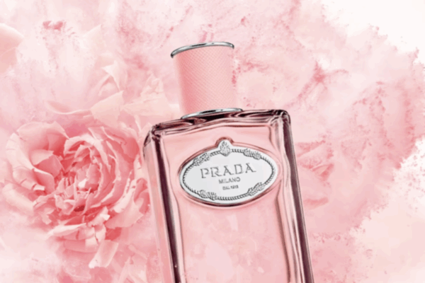 Prada Infusion de Rose