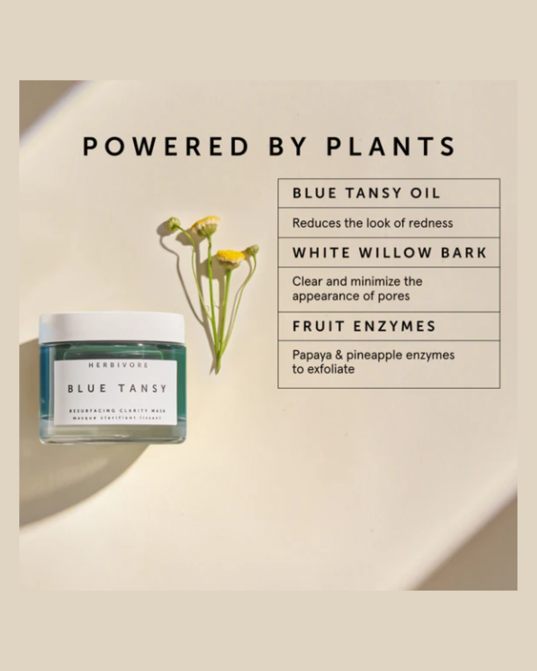 Herbivore Botanicals: Oily Skincare Routine