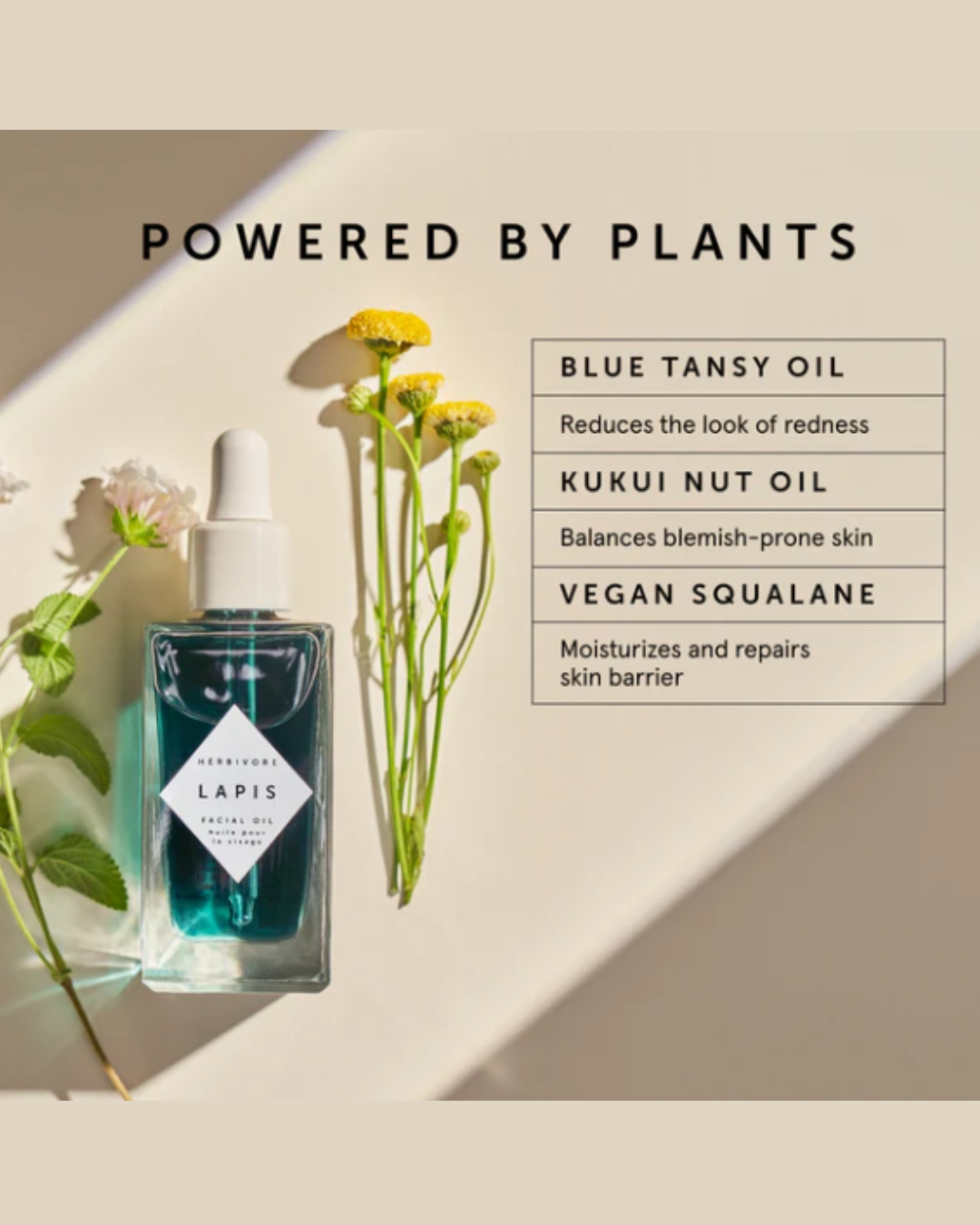 Herbivore Botanicals: Oily Skincare Routine