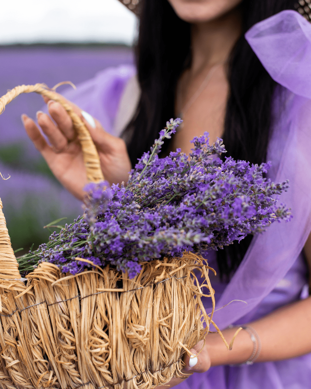 A woman in a lavender dress holding a wicker basket with a bundle of lavender inside of it in a lavender field. Part of the fall self-care & beauty guide and in this fall self-care guide.