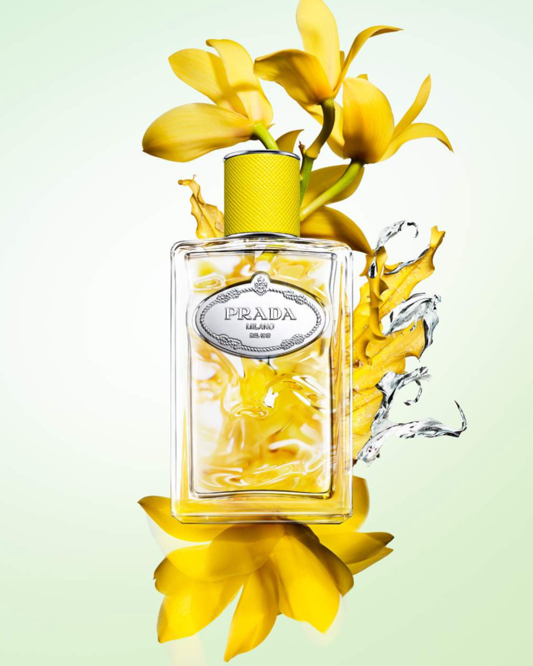 Prada Infusion D'Ylang