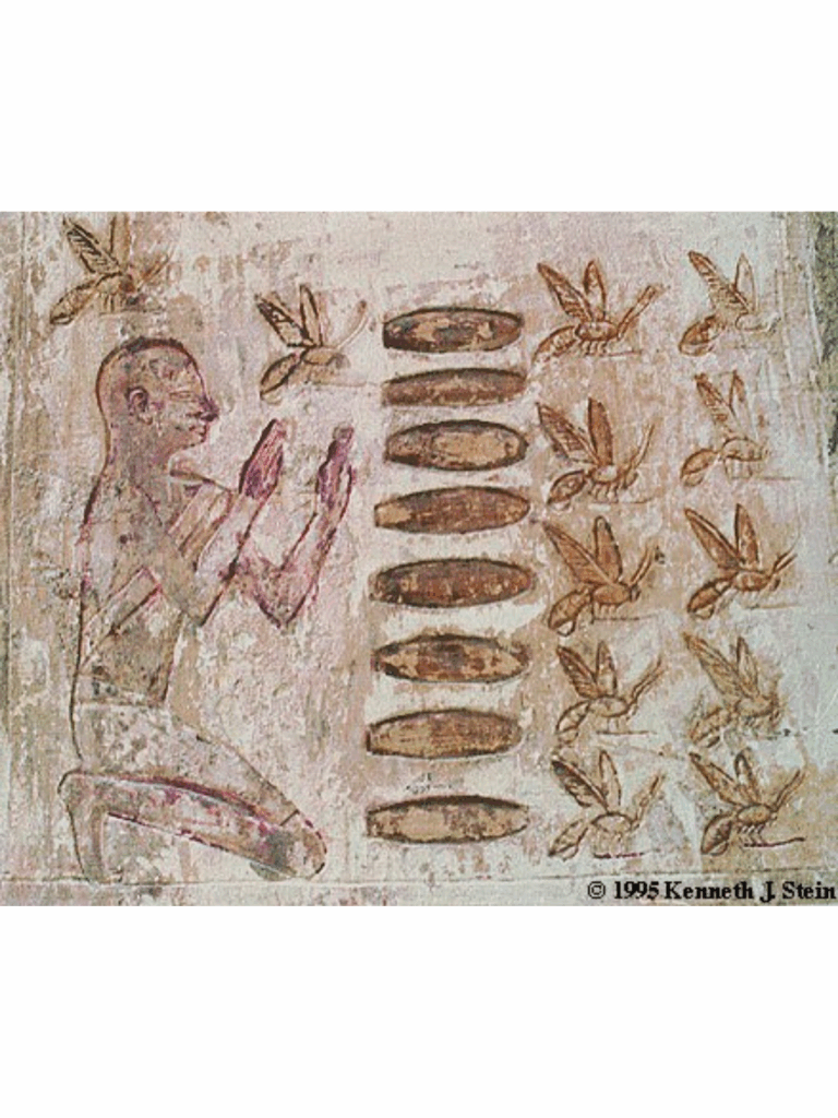 Ancient Egyptian wall relief depicting a kneeling worshipper with hands raised in reverence. Rows of loaves of bread and bees symbolize eternal nourishment, purity, and royal authority, Reflecting the sacred role of offerings using a beeswax candle in funerary and temple rituals. Image credit: Kenneth J. Stein, 1995.