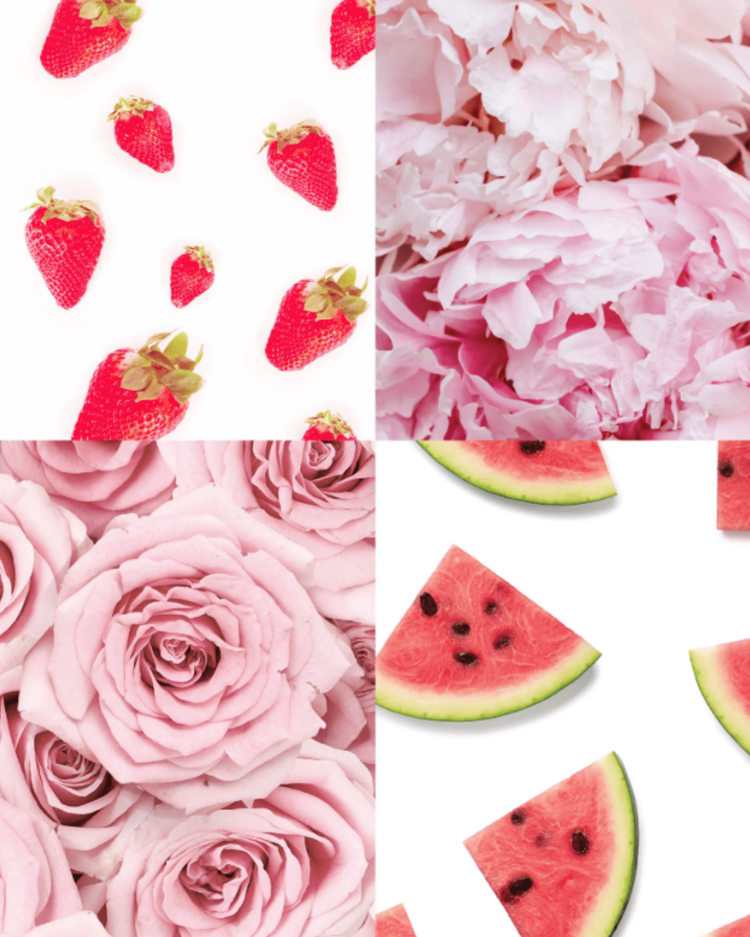 Four-image collage showing the scent inspiration for the Rose' land candle: fresh strawberries on white background, pink peonies, bright red watermelon slices, and soft pink roses.