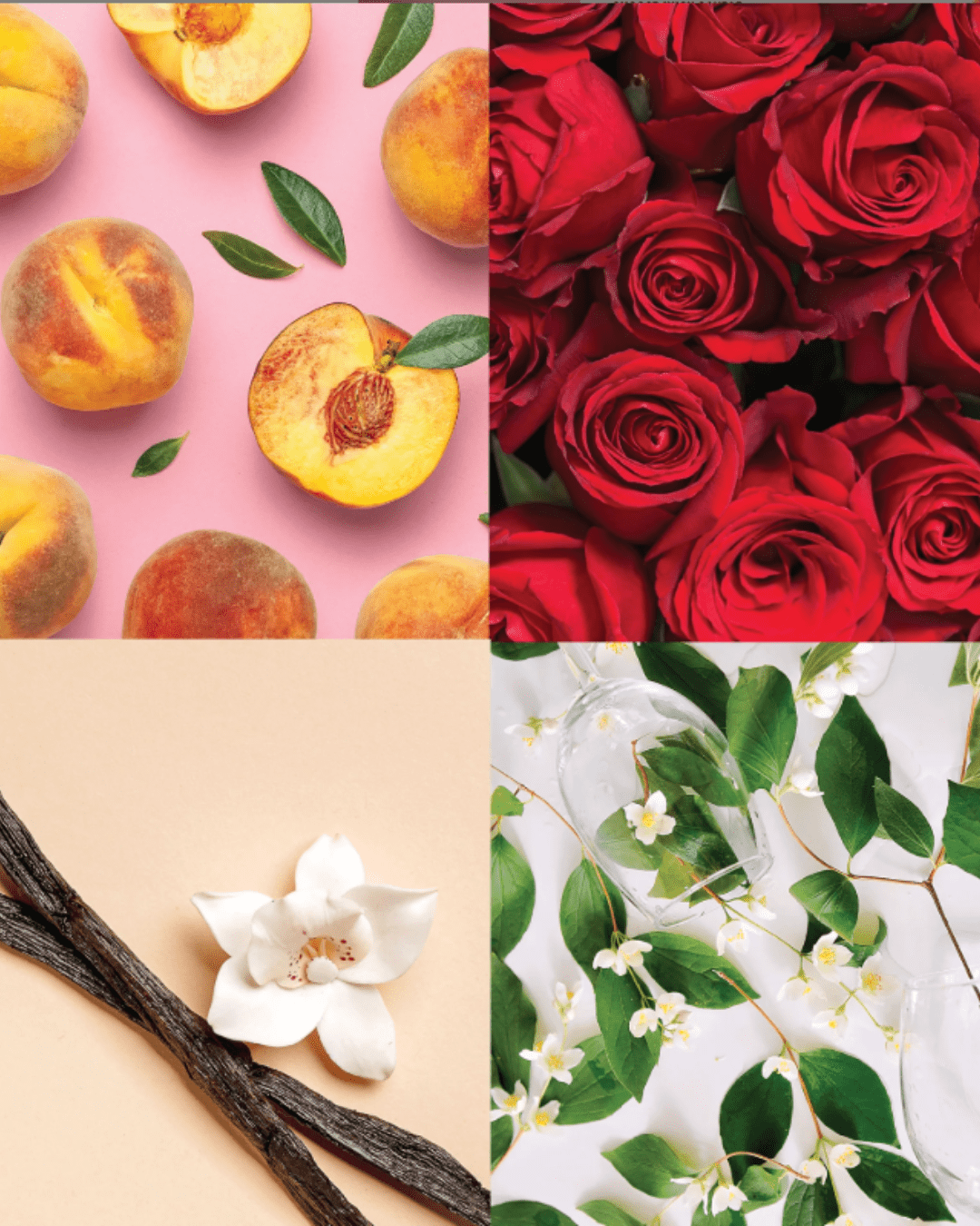 Four-image collage showing scents featured in the Choose Juicy candle: whole and halved peaches on a pink background, a full cluster of red roses, magnolia flowers with leaves and two empty wine glasses resting on top, and a close-up of vanilla beans with a vanilla blossom.