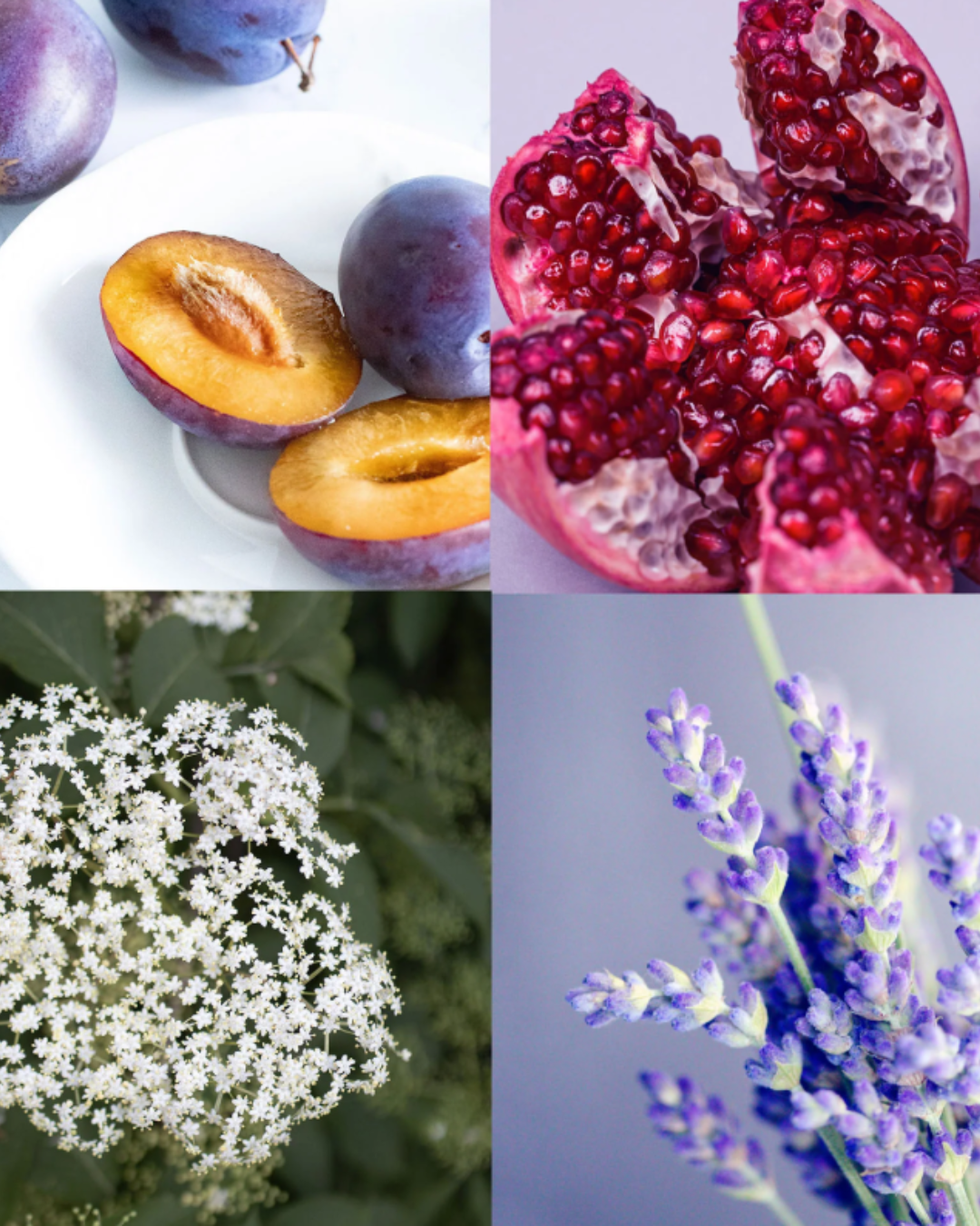 A four-image collage showing the fragrance inspirations for the Blossom Heiress candles: sliced and whole plums on a white dish, a cracked-open pomegranate with visible ruby seeds on a muted purple surface, lavender blossoms on pale stems against a gray-blue background, and delicate clusters of white elderflowers growing outdoors.