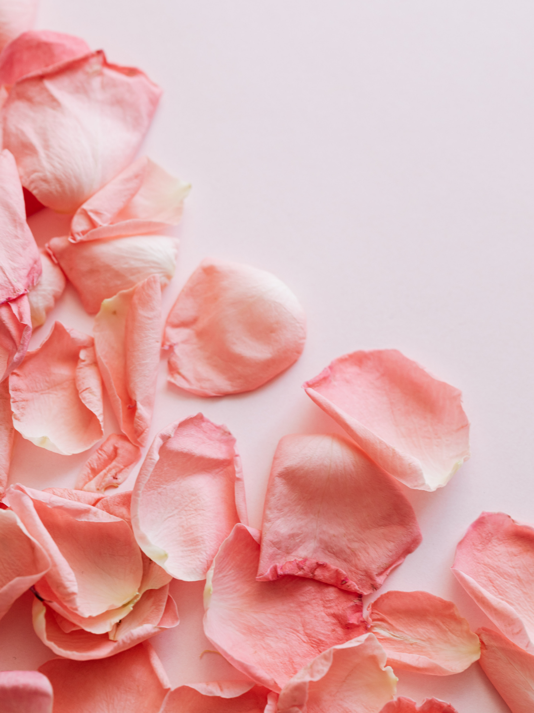 Soft off-white background scattered with soft pink petals, creating a delicate, feminine flat lay atmosphere for a candle-themed visual.