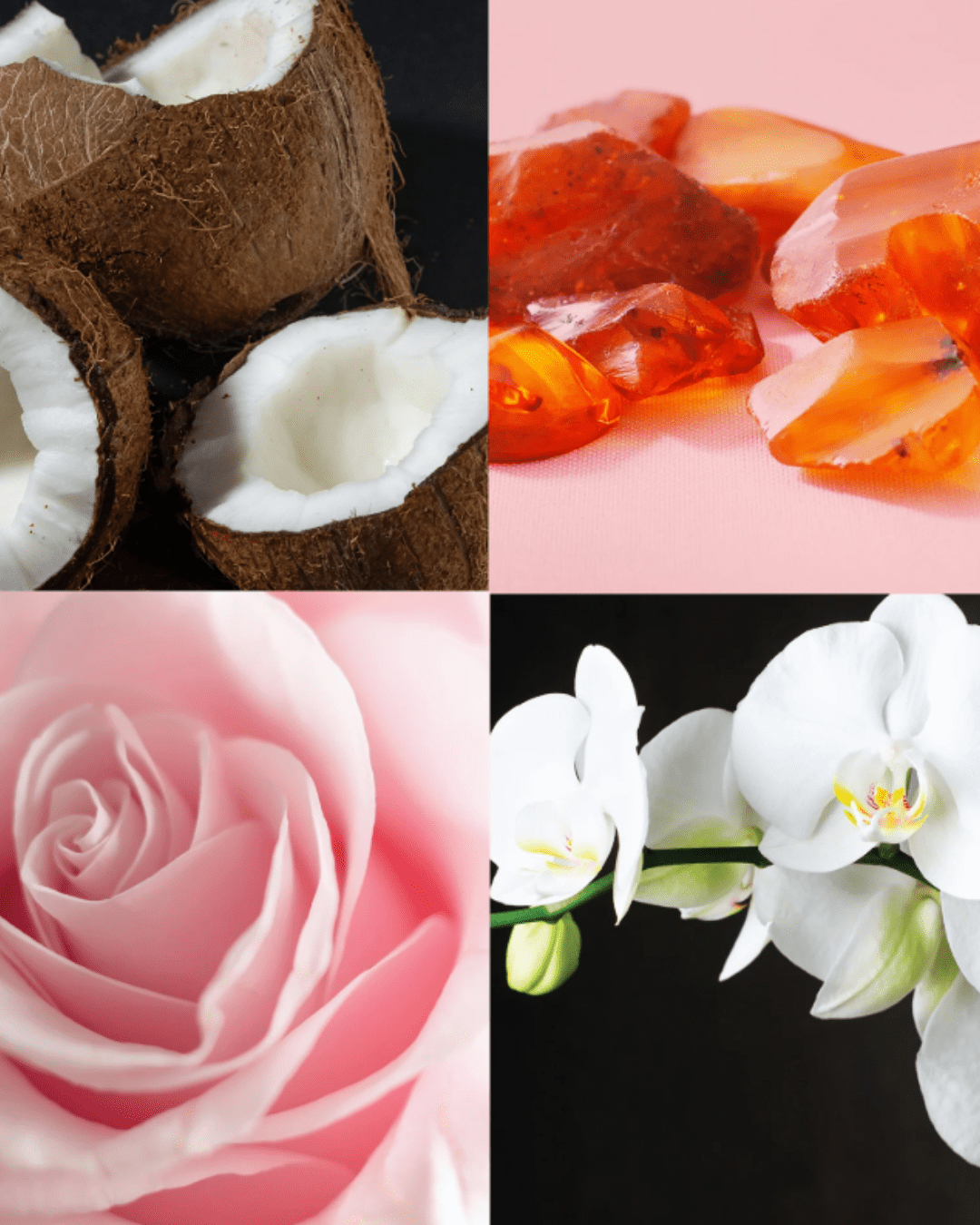 Four-image collage highlighting the scent notes of the Floral Fantasy candle: halved coconuts on a black background, pieces of amber on a soft pink background, white orchids on a black background, and close-up of a pink rose.