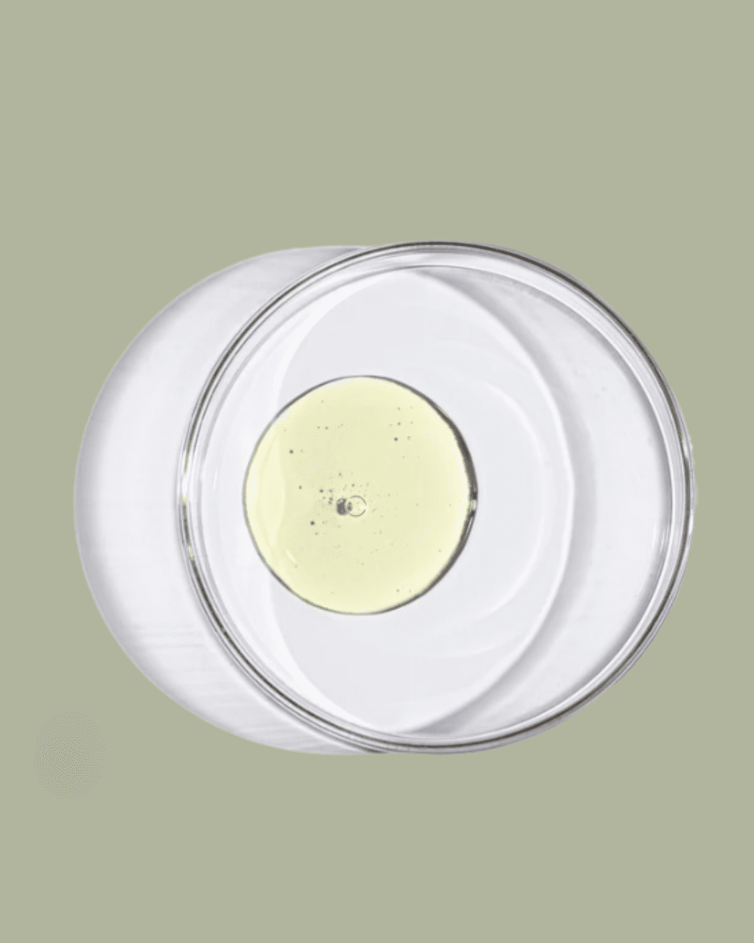 BB Primer with Niacinamide & Squalane