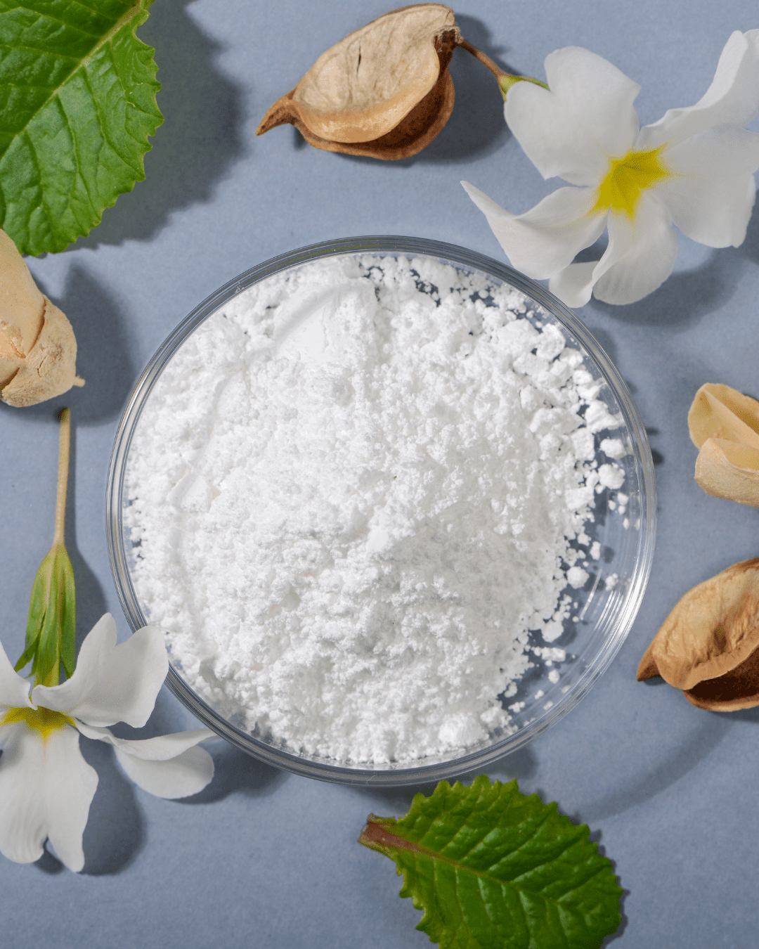 Glass bowl filled with white Allantoin powder surrounded by small white flowers, green leaves, and natural foliage on a gray-blue surface.
