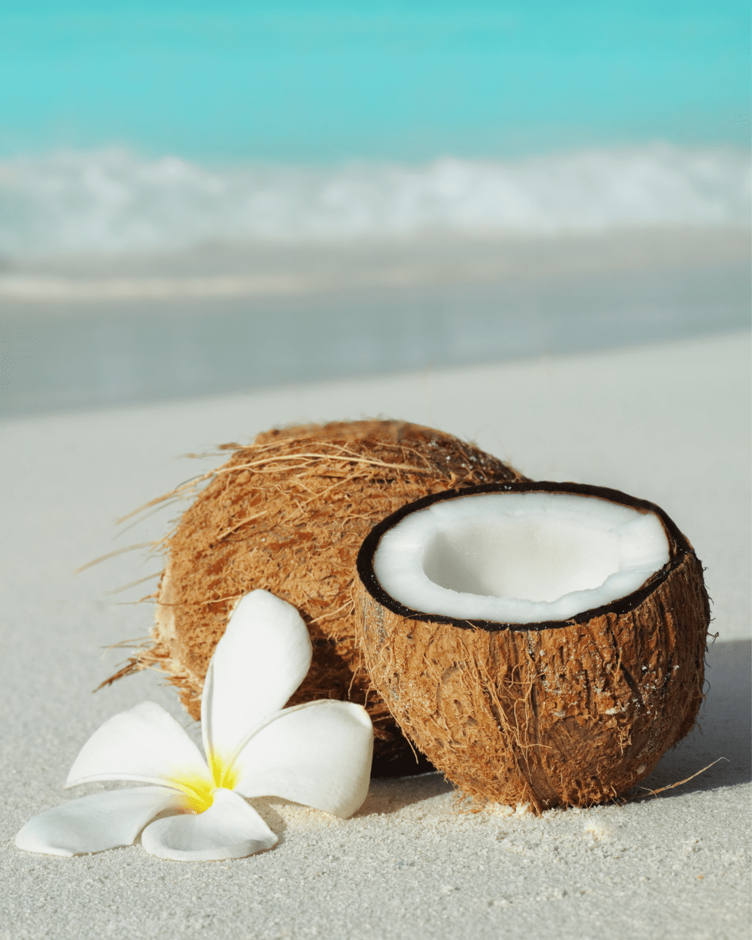 Whole coconut and halved coconut on sandy beach with gentle ocean waves in background and white plumeria flower beside them. Part of the Winter Self-Care & Beauty Guide.
