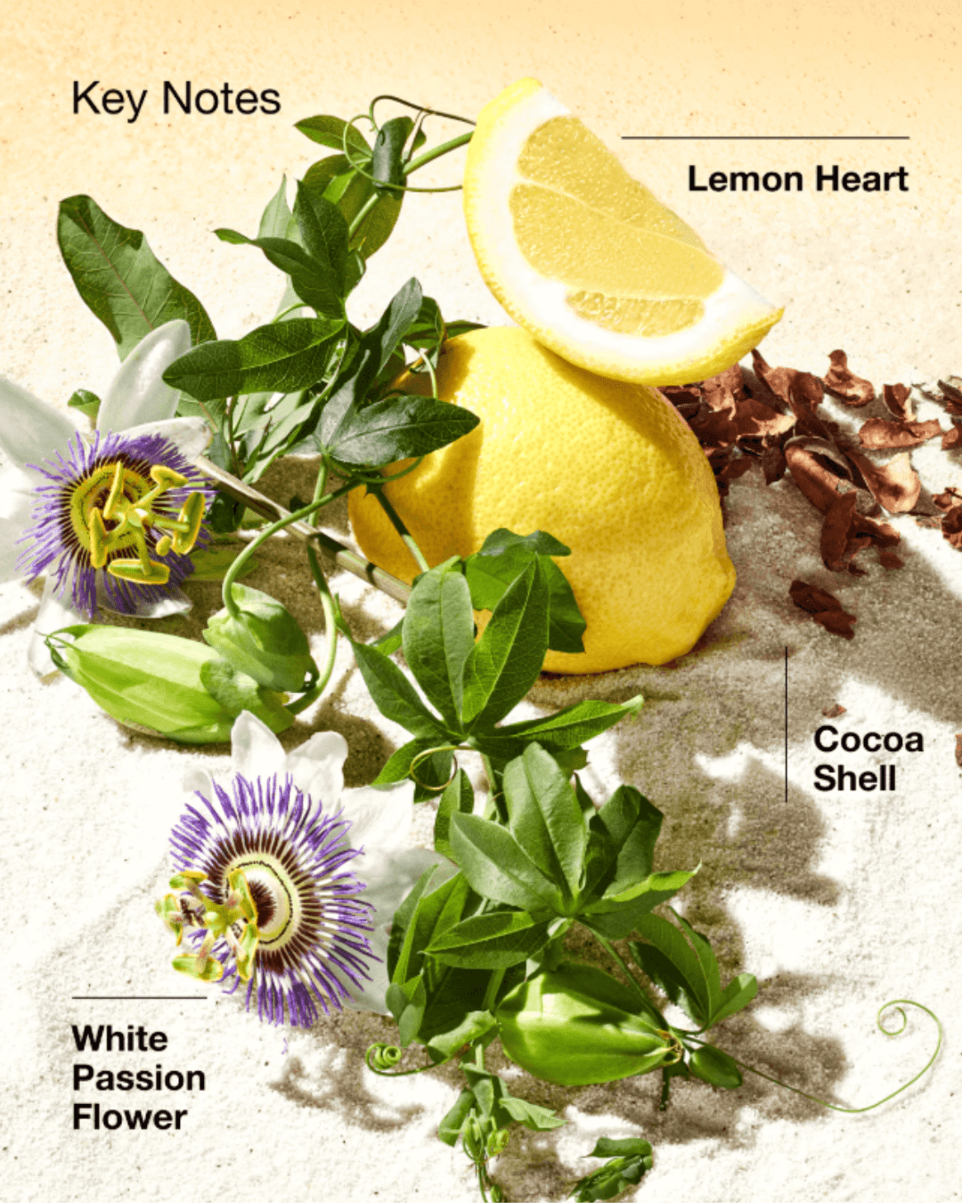 Clinique Happy in Paradise perfume on sand with white passionflower, lemon wedge, and cocoa shells-fresh citrus beach perfumes.