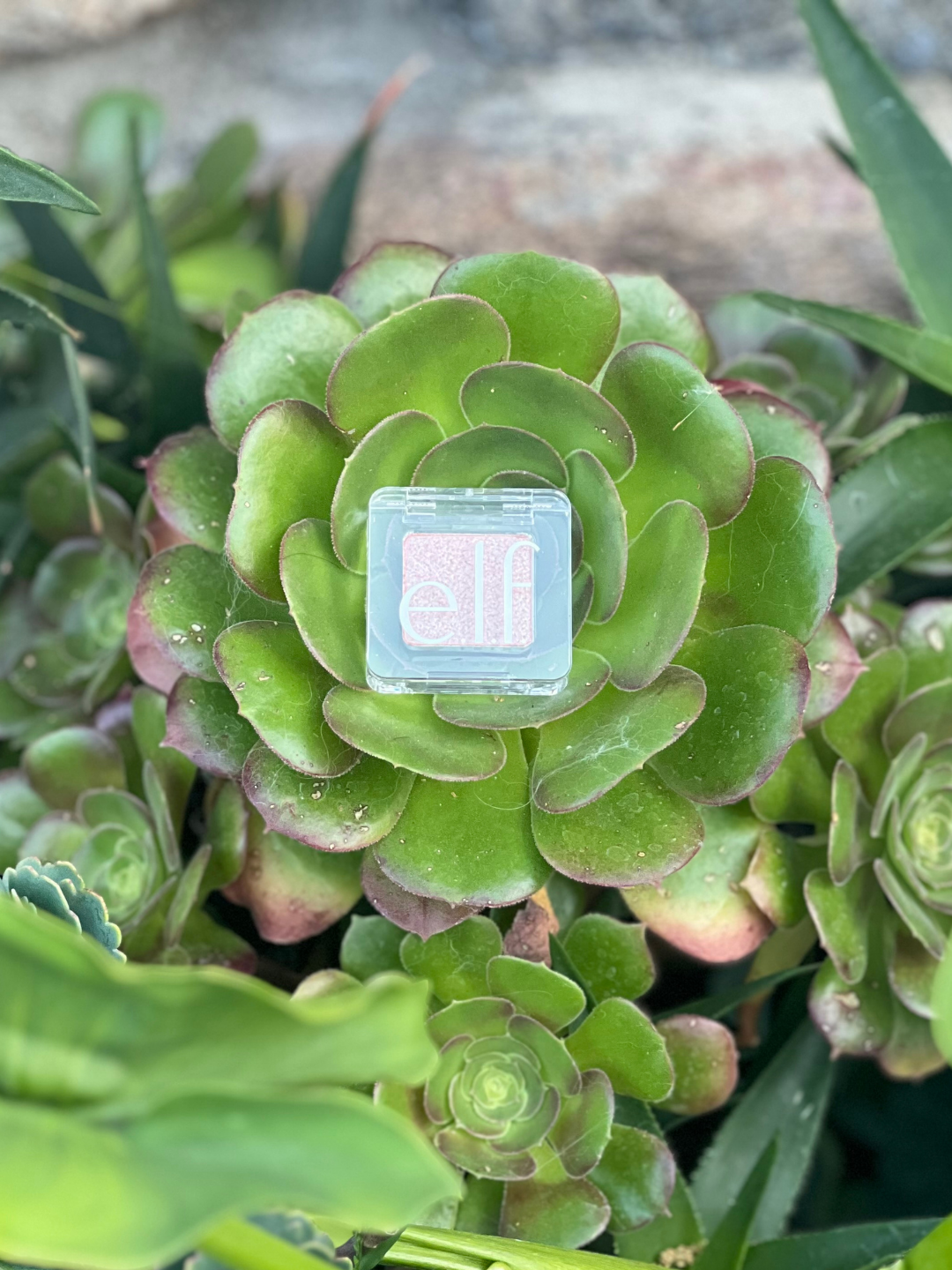 e.l.f. Cosmetics Fine As Fleck Glitter Eyeshadow placed in the center of a succulent arrangement with a stone background, styled to highlight the product in a natural beauty setting.