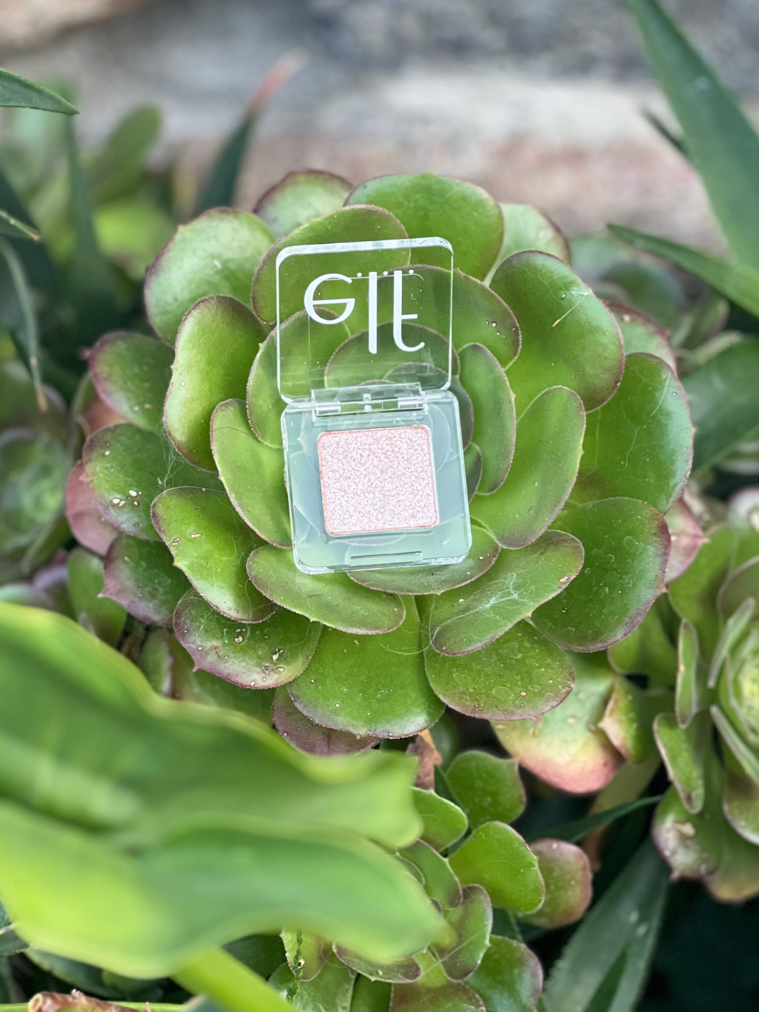 e.l.f. Cosmetics Fine As Fleck Glitter Eyeshadow displayed open and placed on a succulent on a stone background, showcasing the shade and packaging in a styled beauty flat lay.