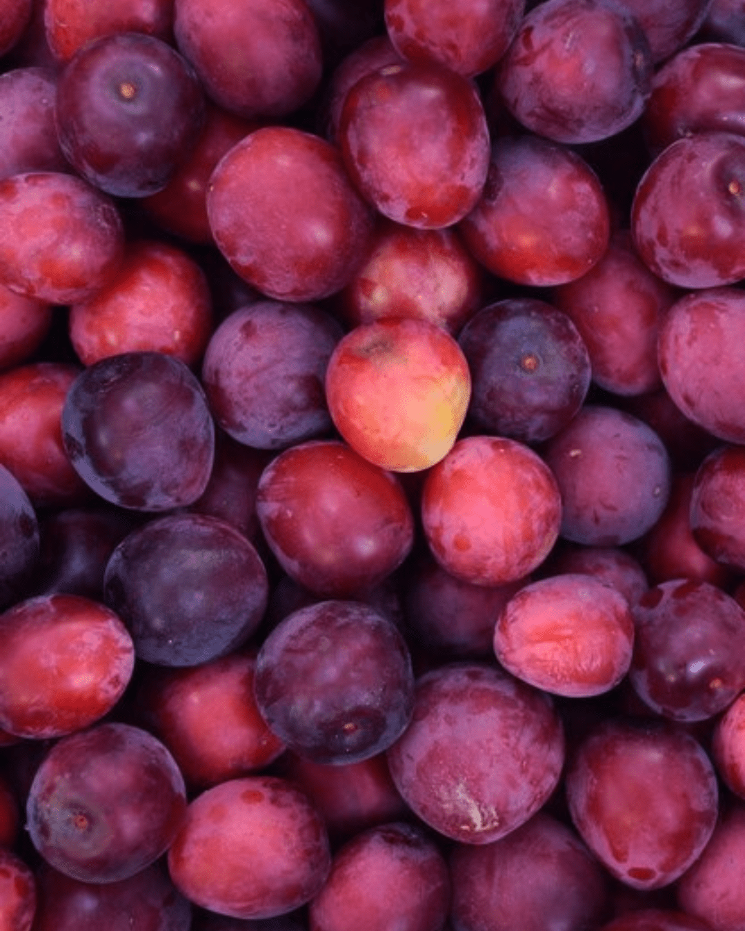 Kakadu Plums. Part of the fall self-care & beauty guide.