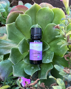 Plant Therapy Lavender Essential Oil
